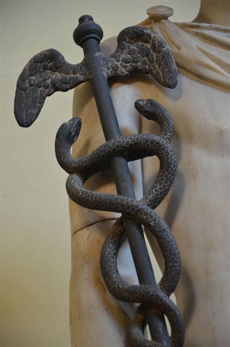 fibbia hermes staffe|Caduceus .